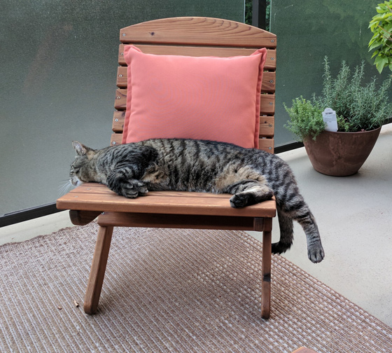 western cedar folding camp chair with cat feature